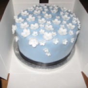 Flower Cake 3. This cake consists of lots of different sized blossom flowers in white on a pale blue icing. The centres of each flowere have been painted with a dot of dark blue.